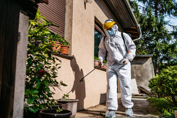 Bay Springs, MS Pest Control Company
