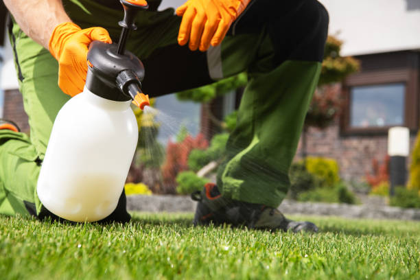 Pest Control for Restaurants in Bay Springs, MS