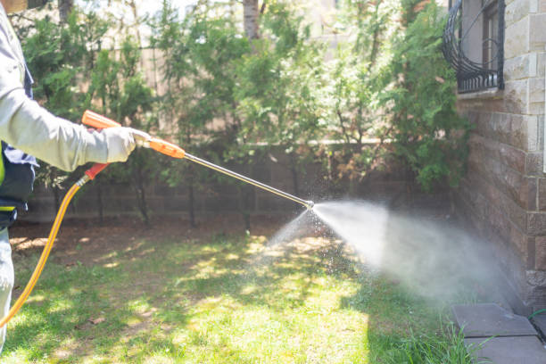 Best Pest Control for Restaurants  in Bay Springs, MS