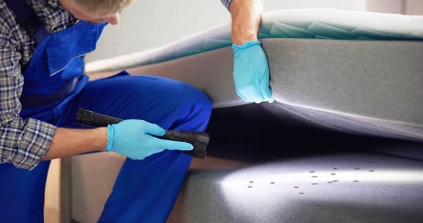 Pest Control Cost in Bay Springs, MS
